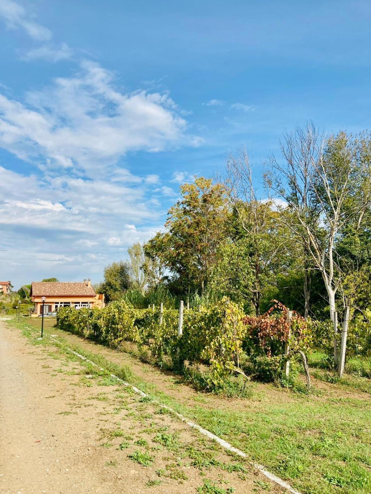 Villa Bubu, Appartamento Country-Chic Roma Ngoại thất bức ảnh