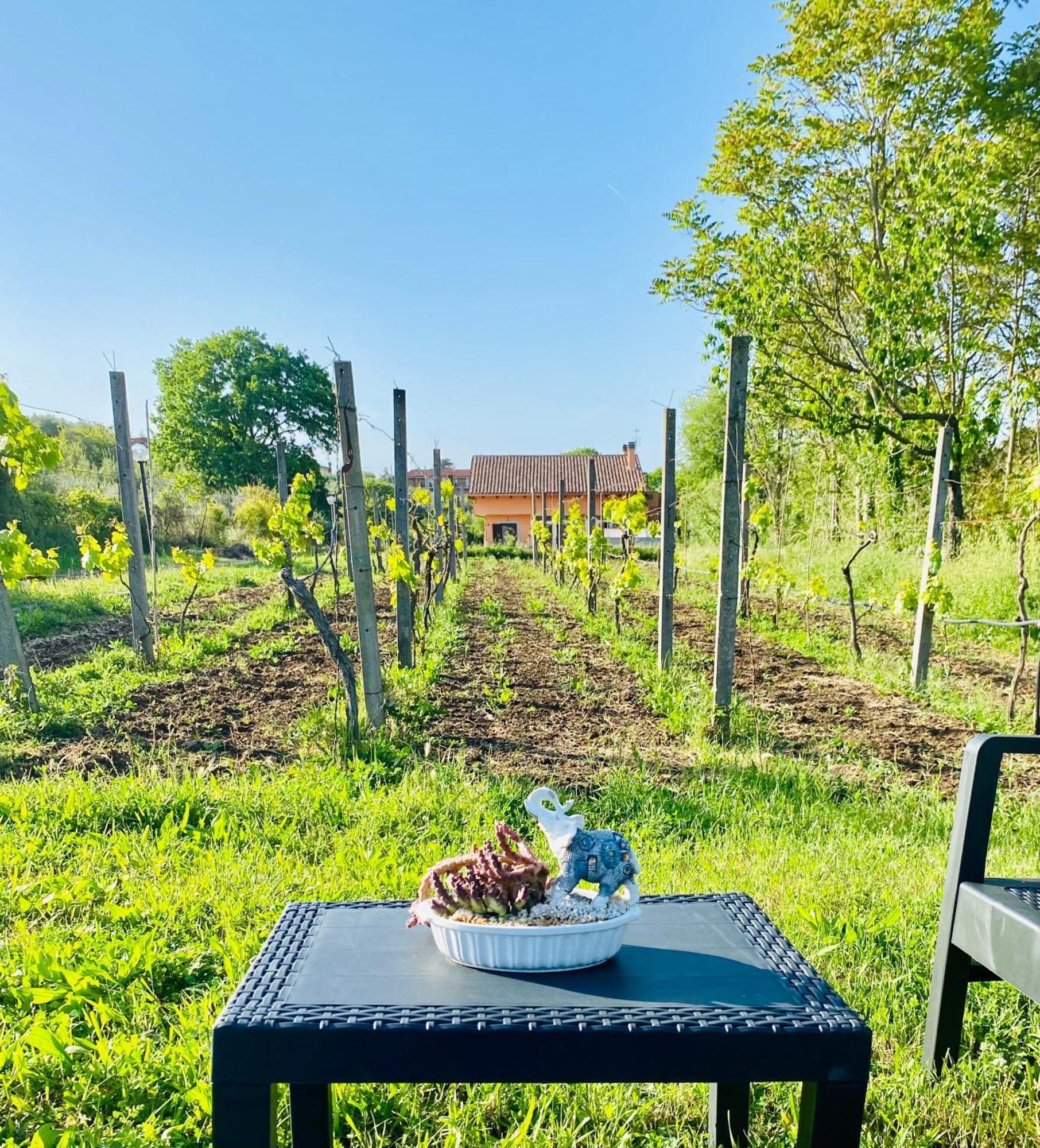 Villa Bubu, Appartamento Country-Chic Roma Ngoại thất bức ảnh
