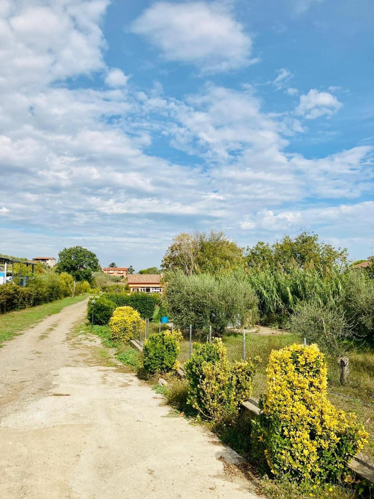 Villa Bubu, Appartamento Country-Chic Roma Ngoại thất bức ảnh