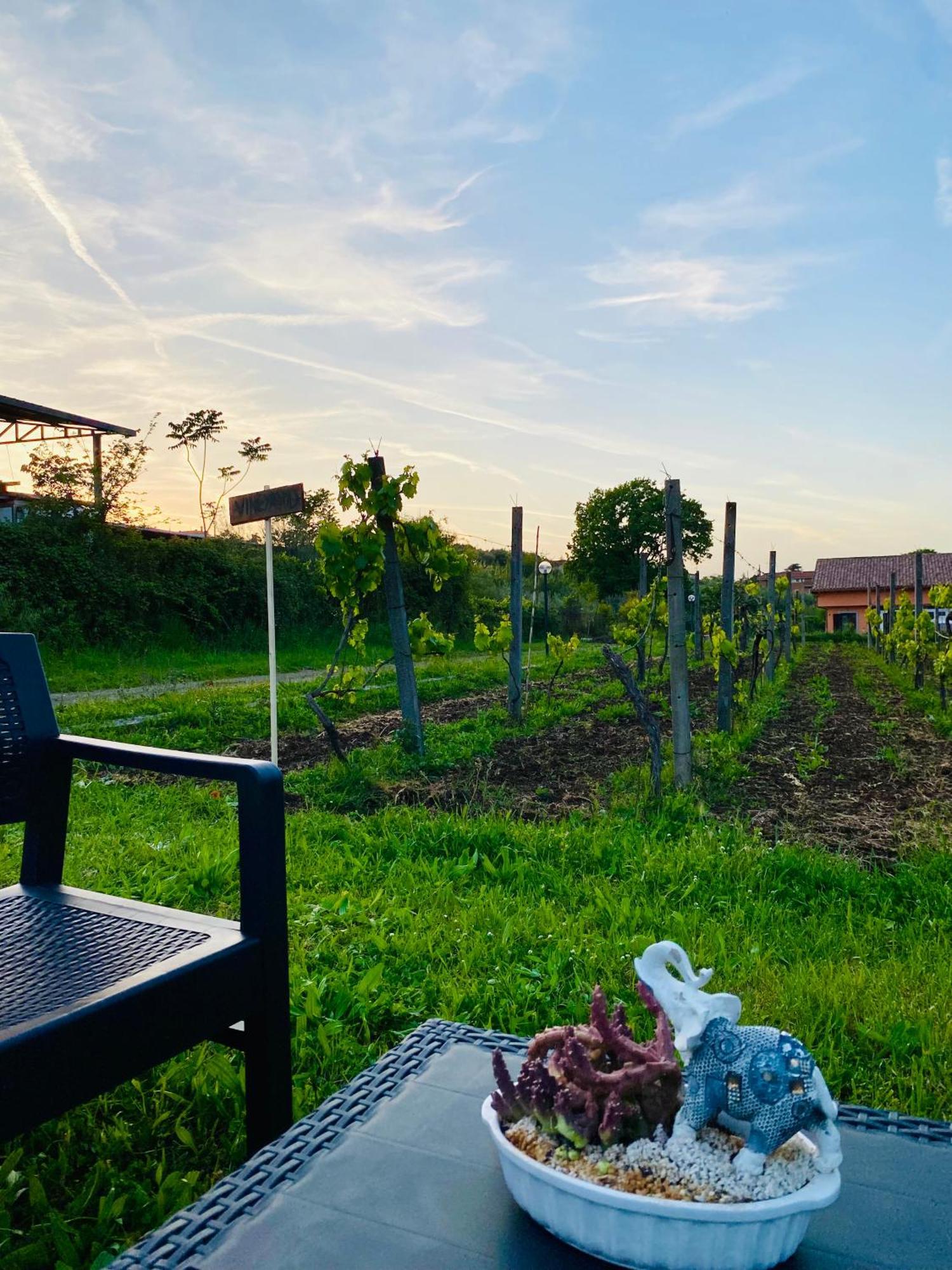Villa Bubu, Appartamento Country-Chic Roma Ngoại thất bức ảnh